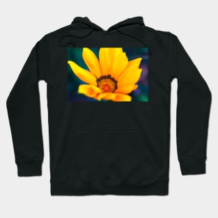 Close-up of a gazania flower Hoodie